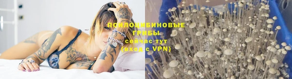 мяу мяу мука Беломорск