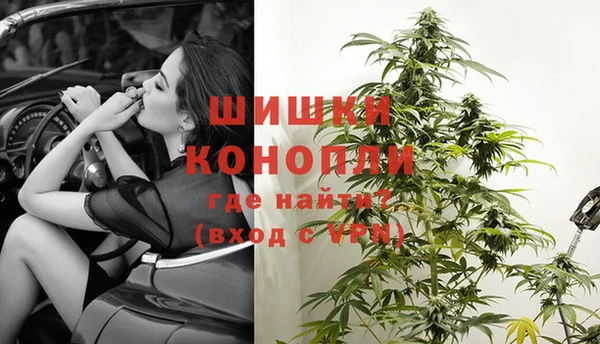 соль ск Богданович