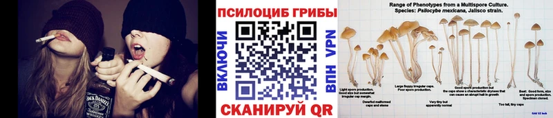 Галлюциногенные грибы Magic Shrooms наркотики Беломорск